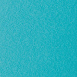 Solid Color Deluxe Folding Chair